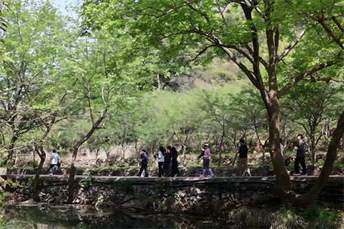 ساختمان تیمی مبارک در کوه Zhong Yandang